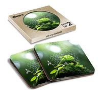 2 x Square Coasters - Plant Biochemistry Nature Green Forest Cork Backed MDF Glossy Tea Coffee Accessory #53171