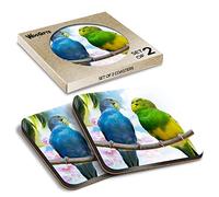 2 x Square Coasters - Pretty Budgie Pair Love Birds Cork Backed MDF Glossy Tea Coffee Accessory #63236