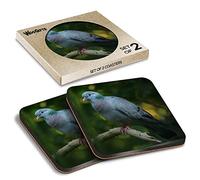 2 x Square Coasters - The Stock Dove Bird Pigeon Cork Backed MDF Glossy Tea Coffee Accessory #52262
