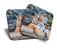 2 x Square Coasters - Wild Tiger Big Cat Jungle Cork Backed Home Kitchen Accessory Tea Coffee Mug Mat #46444