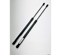 2 x Tailgate Gas Lift Struts for AUDI A4 ALLROAD B8 ( 8KH ) 2009-2016 AE/AU/022A