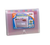 2 X Tiger 13 part A4 expander file with elastic closure clear plastic x 1 single