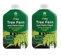 2 x Tree Fern & Palm Feed
