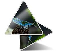 2 x Triangle Stickers 10cm - Blue Aura Shrimp Fish Tank Fun Decals for Laptops,Tablets,Luggage,Scrap Booking,Fridges, #44351