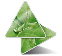 2 x Triangle Stickers 7.5cm - Praying Mantis Insect Nature Bug Fun Decals for Laptops,Tablets,Luggage,Scrap Booking,Fridges #46187
