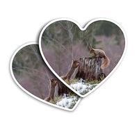 2 x Vinyl Stickers 10 cm - Heart Shape Red Squirrels Cairngorms Scotland Art Print Decal Laptop Tablet Luggage Car Wall Fridge Door Sticker #51882