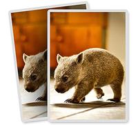 2 x Vinyl Stickers - Rectangle Shape 7x10cm - Baby Wombat Australia Animal Art Print Decal Laptop Tablet Luggage Car Bike Sticker #2296