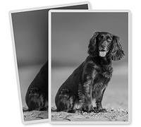 2 x Vinyl Stickers - Rectangle Shape 7x10cm - BW - Cocker Spaniel Puppy Dog Art Print Decal Laptop Tablet Luggage Car Bike Sticker #35266