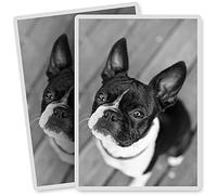2 x Vinyl Stickers - Rectangle Shape 7x10cm - BW - Cute Boston Terrier Dog Puppy Art Print Decal Laptop Tablet Luggage Car Bike Sticker #37536