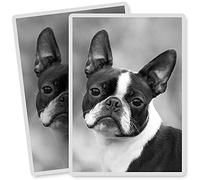 2 x Vinyl Stickers - Rectangle Shape 7x10cm - BW - Cute Boston Terrier Puppy Dog Art Print Decal Laptop Tablet Luggage Car Bike Sticker #37530