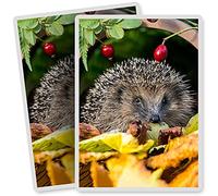 2 x Vinyl Stickers - Rectangle Shape 7x10cm - Garden Hedgehog Flowerpot Art Print Decal Laptop Tablet Luggage Car Bike Sticker #13045