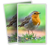 2 x Vinyl Stickers - Rectangle Shape 7x10cm - Garden Robin Bird Birds Christmas Art Print Decal Laptop Tablet Luggage Car Bike Sticker #15509