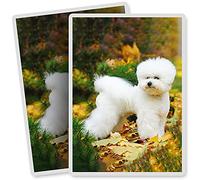 2 x Vinyl Stickers - Rectangle Shape 7x10cm - White Bichon Frise Puppy Dog Art Print Decal Laptop Tablet Luggage Car Bike Sticker #15567