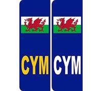 2 x Wales CYMRU flag Euro Number Plate Vinyl Car Stickers by Ellis Graphix
