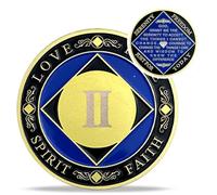 2 Year NA Medallions - Recovery Narcotics Anonymous Coins - Anniversary Ha Sobriety Chip Token - Addiction Sobriety Gifts for Men Women