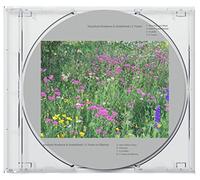 2 Years / 2 Years In Silence