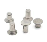 20-50pcs Countersunk Head Rivets 304 Stainless Steel GB869 Solid Rivet M2 .5 M3 M4 M5 M6 for Garden Industrial(M2 50pcs,8mm)