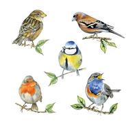 Ambiente Paper Napkins "Bird Species White" Vintage Motif for Party & Decoupage 20 pcs 33x33 cm