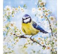 20 Ambiente Paper Napkins - Blossom Time - Table Decoration with Motif Also for Party or Decoupage 33x33 cm