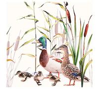 20 Ambiente Paper Napkins "Duck Couple" Table Decoration with Motif Also for Party or Decoupage 33 x 33 cm