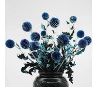 20+ Balls Dried Blue Thistle Flowers Bouquet - 15" Preserved Echinops Globe Flower for Wedding, Boho Party, Home Decor, Table Center, DIY Floral Arrangements, Present Box Decorations, Dry Flower