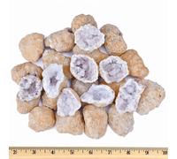 20 Break Your Own Geode Kit - 1 to 1.5 inch Easy to Reveal Natural Premium Geodes - Easy Break Up - Tools Experience + Geologist Guide - Requires Less Effort