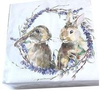 20-ct Bunny Napkins - Pretty Easter Cute Dinner & Lunch Size Cocktail Napkins - Paper for Decoupage & Vintage Style
