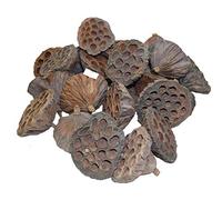 20 Dried Lotus Flower Heads Diameter Christmas Wreath Decoration (486)