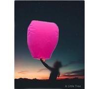 20 Fuchsia Pink - Eco-Friendly Chinese Flying Sky Lanterns (A Liittle Tree)