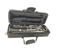 20 Key Clarinet In G Major Made Of ABS Resin With Nickel Plating Beginner Clarinet