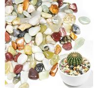 20 lbs Succulent Pebbles,1/2 Inch Small Rocks for Plants,Pebbles for Crafts,Suitable for Vases, Cactus Potted Plants, Fish Tanks,Fountain