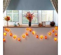 20 Led Acorn & Leaf Autumn String Lights - 2.85M