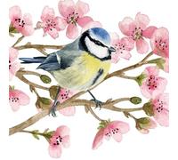 20 Napkins Animal Motifs Blue Tits in Spring Branches as Table Decoration Paper Napkins with Motif Also for Decoupage and Decoupage 33 x 33 cm