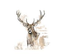 20 Napkins Animal Motifs Deer in Painted Shape Table Decoration Paper Napkins with Motif Also for Decoupage and Decoupage 33 x 33 cm