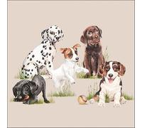 20 Napkins Animals Dog Breeds in Grass as Table Decoration Paper Napkins with Motif Also for Decoupage and Decoupage 33 x 33 cm