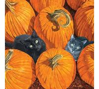 20 Napkins Autumn Cats Between Pumpkins as Table Decoration Paper Napkins with Motif Also for Decoupage and Decoupage 33 x 33 cm