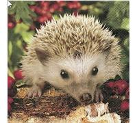20 Napkins Barnie the Hedgehog Barnie / Animals / Forest Animals / Forest / 33 x 33 CM