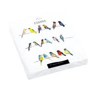 20 Napkins Birds Conversing Animals Spring Summer Table Decoration Decoupage 33 x 33 cm