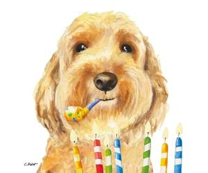 20 Napkins Birthday Dog Celebrates Birthday Table Decoration Paper Napkins with Motif Also for Decoupage and Decoupage 33 x 33 cm