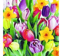 20 Napkins Daffodil and Tulips for Spring Table Decoration 33 x 33 cm