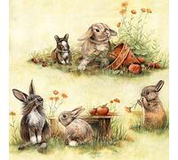 20 napkins, Easter, cute rabbits/animals/animal pattern, 33 x 33 cm