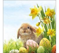20 Napkins Fluffy Rabbit on Daffodils Flowers Eggs Easter 33 x 33 cm