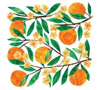 20 Napkins Food World Full of Oranges as Table Decoration Paper Napkins with Motif Also for Decoupage and Decoupage 33 x 33 cm