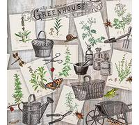 20 Napkins Growing of Herbs | Garden | Table Decoration | Decoupage | Napkin Technology 33 x 33 cm