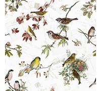 20 Napkins Native Bird Species/V?gel/Animals/Animal Motif/Spring 33 x 33 cm
