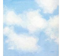 20 Napkins Nature Sky Full of Clouds Table Decoration Paper Napkins with Motif Also for Decoupage and Decoupage 33 x 33 cm