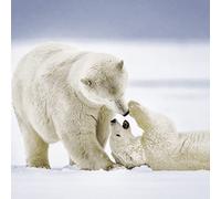 20 napkins polar bears animals winter