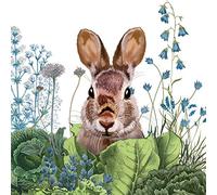 20 Napkins Rabbit in Garden Field Animals Easter Farm 33 x 33 cm