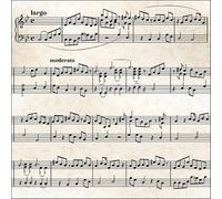 20 Napkins Sheet Music Table Decoration Paper Napkins with Motif Also for Decoupage and Decoupage 33 x 33 cm