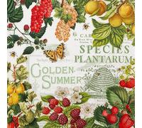 20 Napkins Summer Fruits with Summer Mood as Table Decoration Paper Napkins with Motif Also for Decoupage and Decoupage 33 x 33 cm